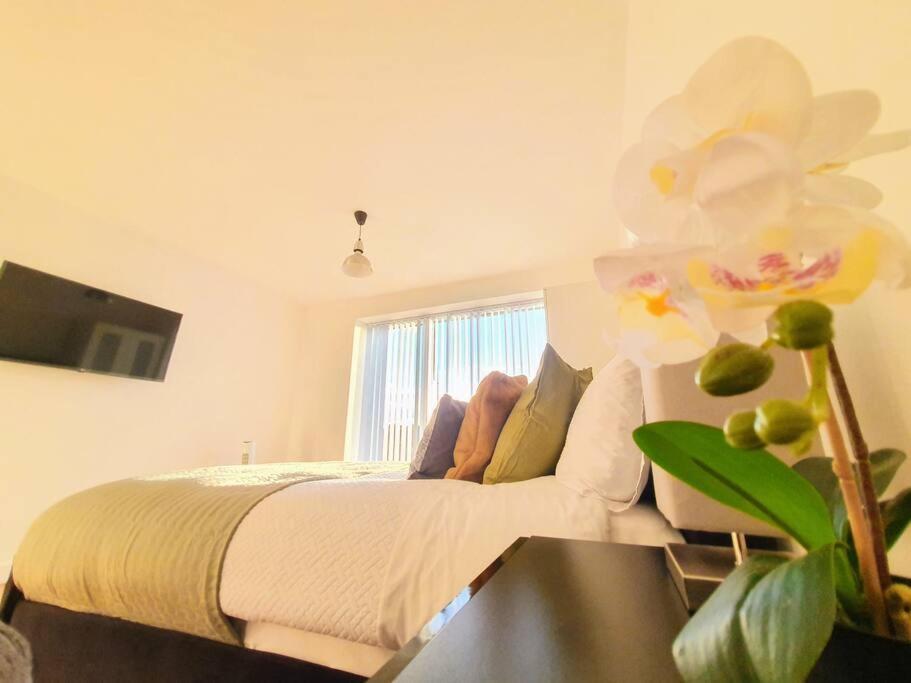 Contemporary Modern Studio Apartment - City Centre Birmingham Eksteriør billede
